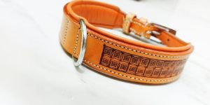 Tooled Leather Dog Collar