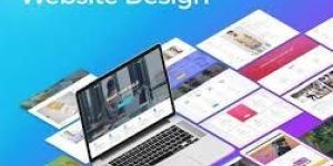 Website Design Company in Delhi