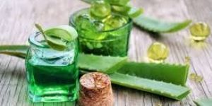 Aloe Vera Moisturizing Lotion