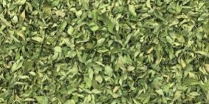 Dry Sweet Neem