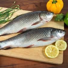 Fresh Rohu Fish