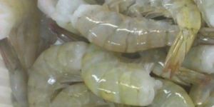 Frozen White Prawns