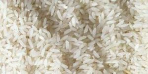 Swarna Non Basmati Rice