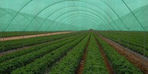Agro Shade Net