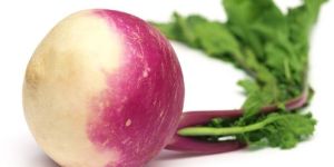 Fresh Turnip