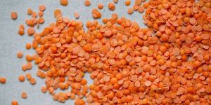 Split Red Lentils