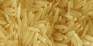 1121 Golden Sella Rice