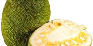 Fresh Jackfruit
