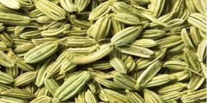Fennel Seeds