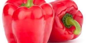 Red Capsicum