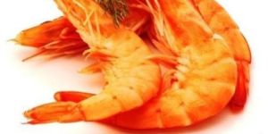 Frozen Tiger Prawns