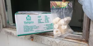 TAPIOCA