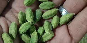 Green Cardamom