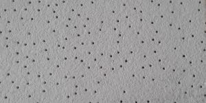 ECOGYP False Ceiling Tiles