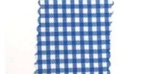 Blue And White Check Fabric