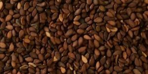 Brown Sesame Seeds