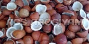 Copra Coconuts