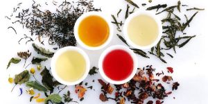 Darjeeling Organic Green Tea