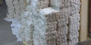 Cotton Yarns