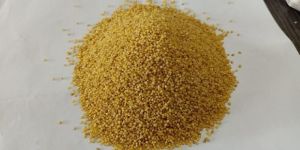 Foxtail Millet