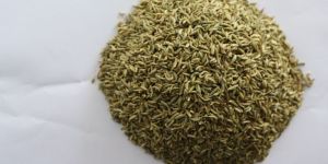 Barik Fennel Seed