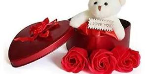 Valentine Day Gift