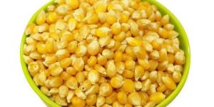 Yellow Corn Seeds
