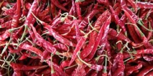 Dried Red Chilli