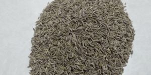 Cumin Seeds Sortex