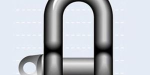 Bow Shackle