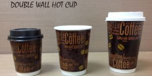 Double Wall Paper Glass