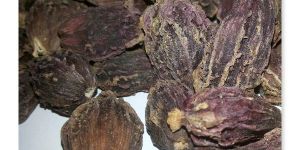 Black Cardamom Pods