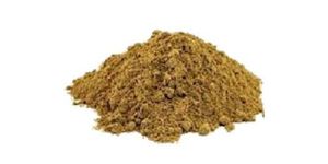 Bacopa Monnieri Extract