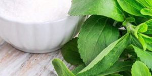 Stevia Powder