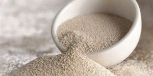 Live Yeast Culture