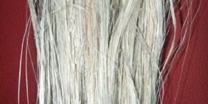 Banana Fiber