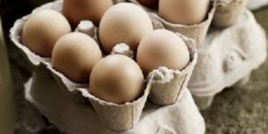 Organic Brown Eggs