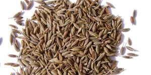 Cumin Seeds