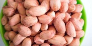 Groundnut Kernels