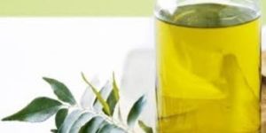 Curry Leaf Oil