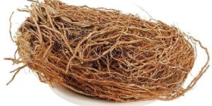 Vetiver Roots