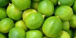 Fresh Green Lemon