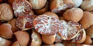 Split Betel Nuts