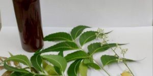 Neem Oil
