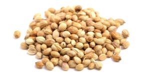 Coriander Seeds