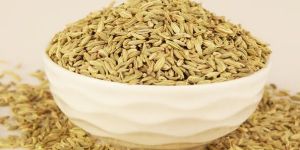 Europe Fennel Seeds