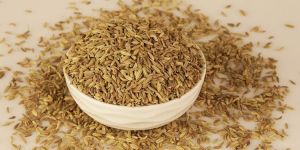 Singapore Fennel Seeds