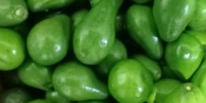 Avacado