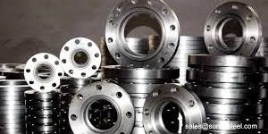 SS Flanges