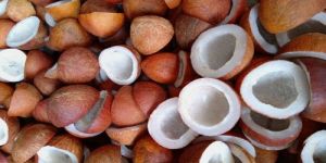 Coconut Copra